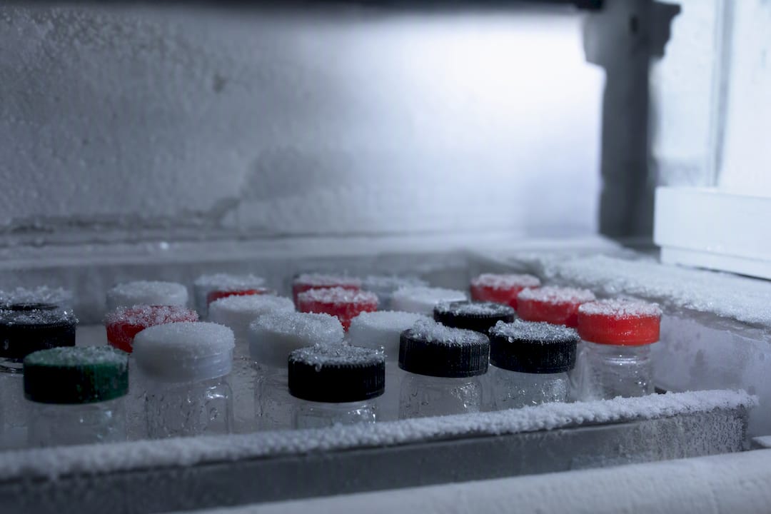 Peptide storage vials in lab freezer